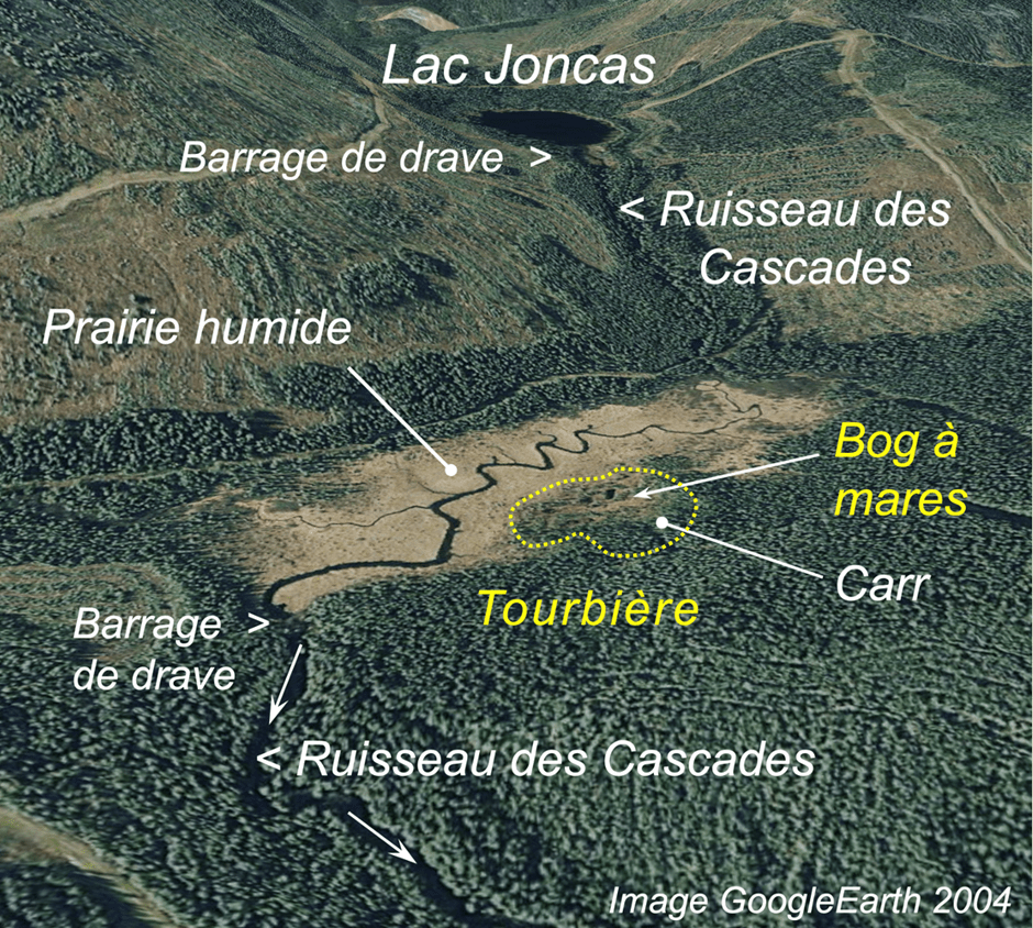 Descriptif de la tourbière