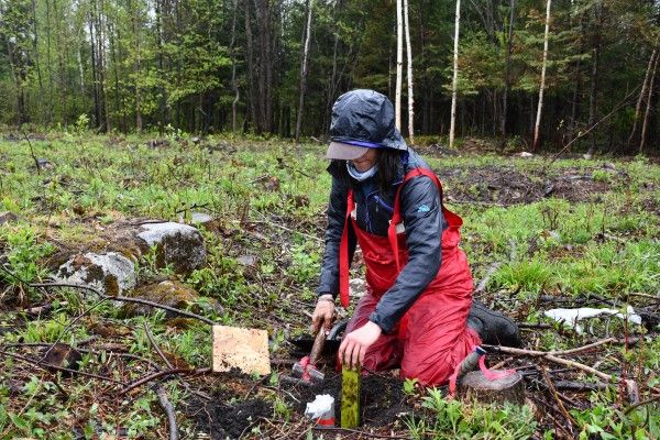 Une personne de la Team Carbone fait de la recherche à la Forêt Montmorency