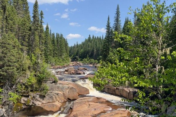 Une rivière à la Forêt Montmorency