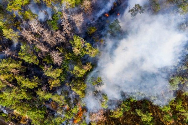 Un feu de forêt vue des airs