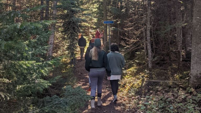 Des personnes marchent dans un sentier de la Forêt Montmorency
