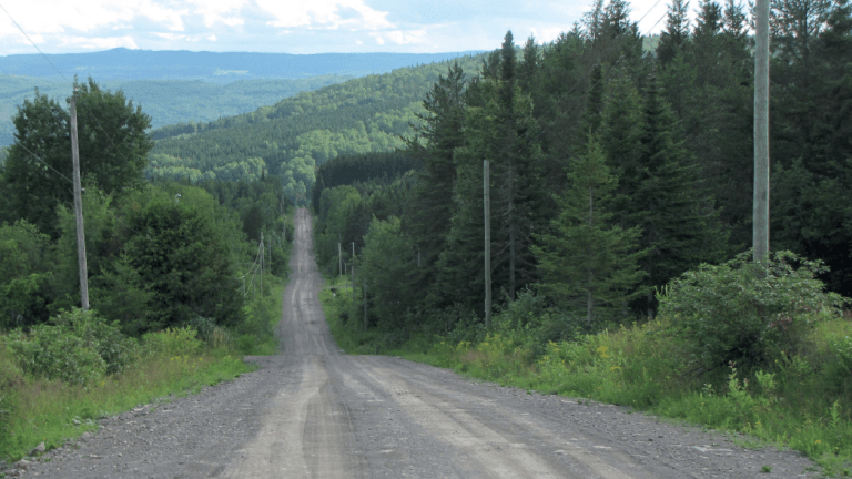 chemin en forêt