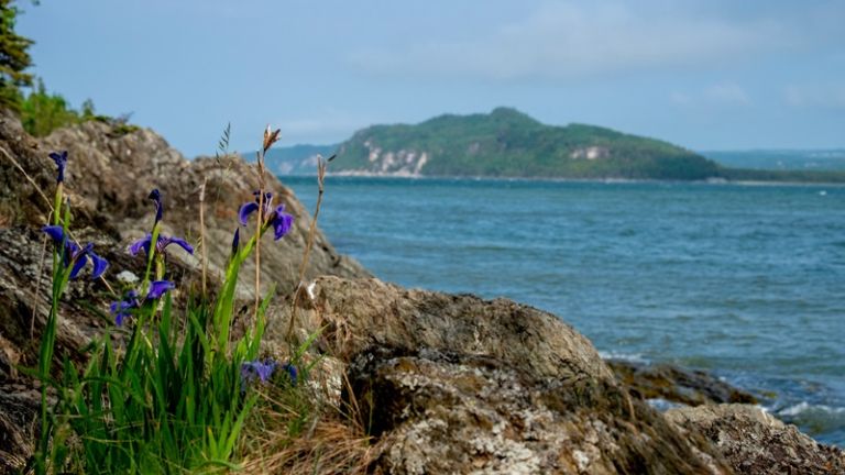 Photo de GHEORGHE LUPAN sur Unsplash