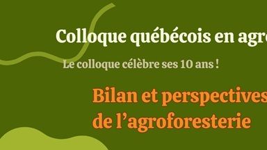 vignette fiche recherche