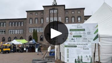 Capture d'écran du reportage de Radio-Canada sur le grand rassemblement de la forêt