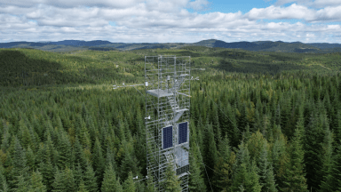 Une tour qui mesure les échanges d’énergie, d’eau et de CO₂ entre la forêt et l’atmosphère.