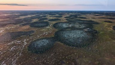 Palses à la Baie d’Hudson, au Manitoba