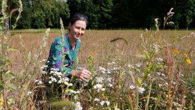 Prairie urbaine