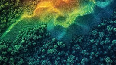 Courbes de niveau sur paysage de forêt