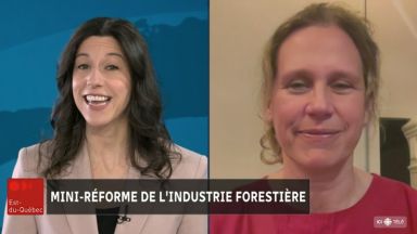 Entrevue de Radio-Canada