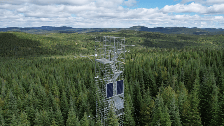 Une tour qui mesure les échanges d’énergie, d’eau et de CO₂ entre la forêt et l’atmosphère.