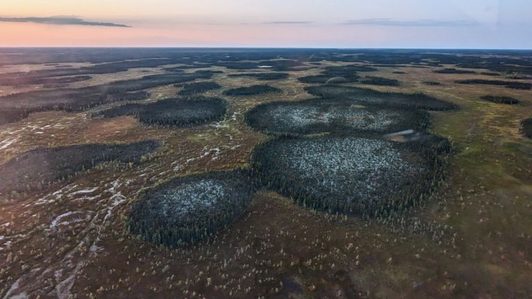 Palses à la Baie d’Hudson, au Manitoba