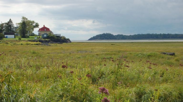 Un paysage de l'Isle-aux-Grues