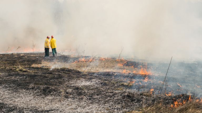 Deux pompiers sur les lieux d'un feux de forêt