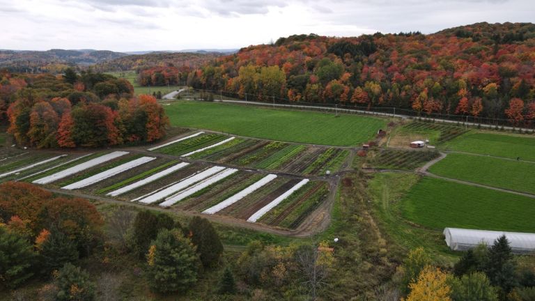 Bien que les forêts aménagées du Québec soient un puits de carbone, l’agriculture, la perturbation des milieux humides et les produits du bois jetés aux dépotoirs annulent présentement l’effet des forêts.