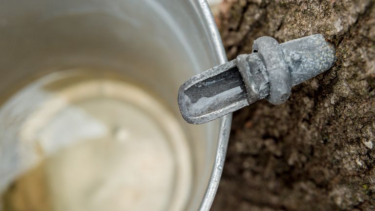 Chaudière d'eau d'érable