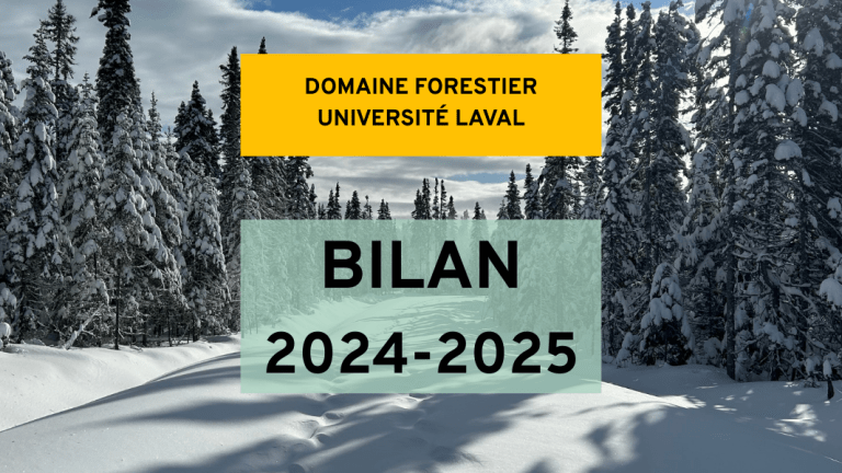 Bilan 2024-2025 : une année bien remplie à la Forêt Montmorency