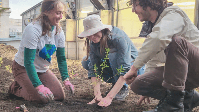 Le projet est le fruit d'un travail d'équipe réunissant la Faculté de foresterie, de géographie et de géomatique, le Service des immeubles et l'association étudiante Projet Chlorophylle. (Photo ULaval Nouvelles)