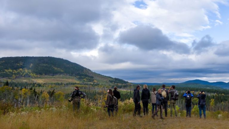 Des personnes visitent la Forêt Montmorency