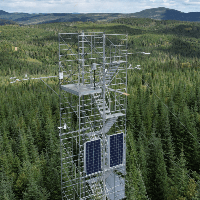 Une tour de la Forêt Montmorency mesurant les échanges d’énergie, d’eau et de CO₂. 