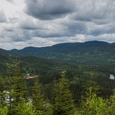 Panorama de la Forêt Montmorency en été